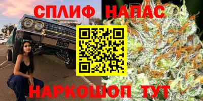 крисы Усть-Илимск