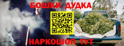 крисы Усть-Илимск