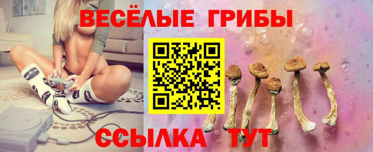 Галлюциногенные грибы Psilocybe Менделеевск